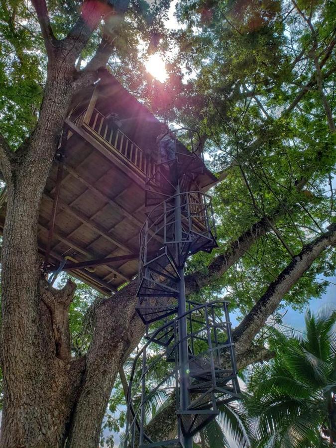 Casa En El Arbol Villa Utica Ngoại thất bức ảnh