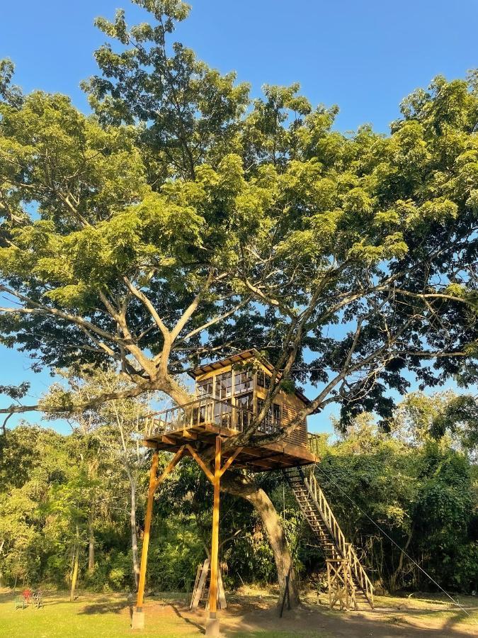 Casa En El Arbol Villa Utica Ngoại thất bức ảnh