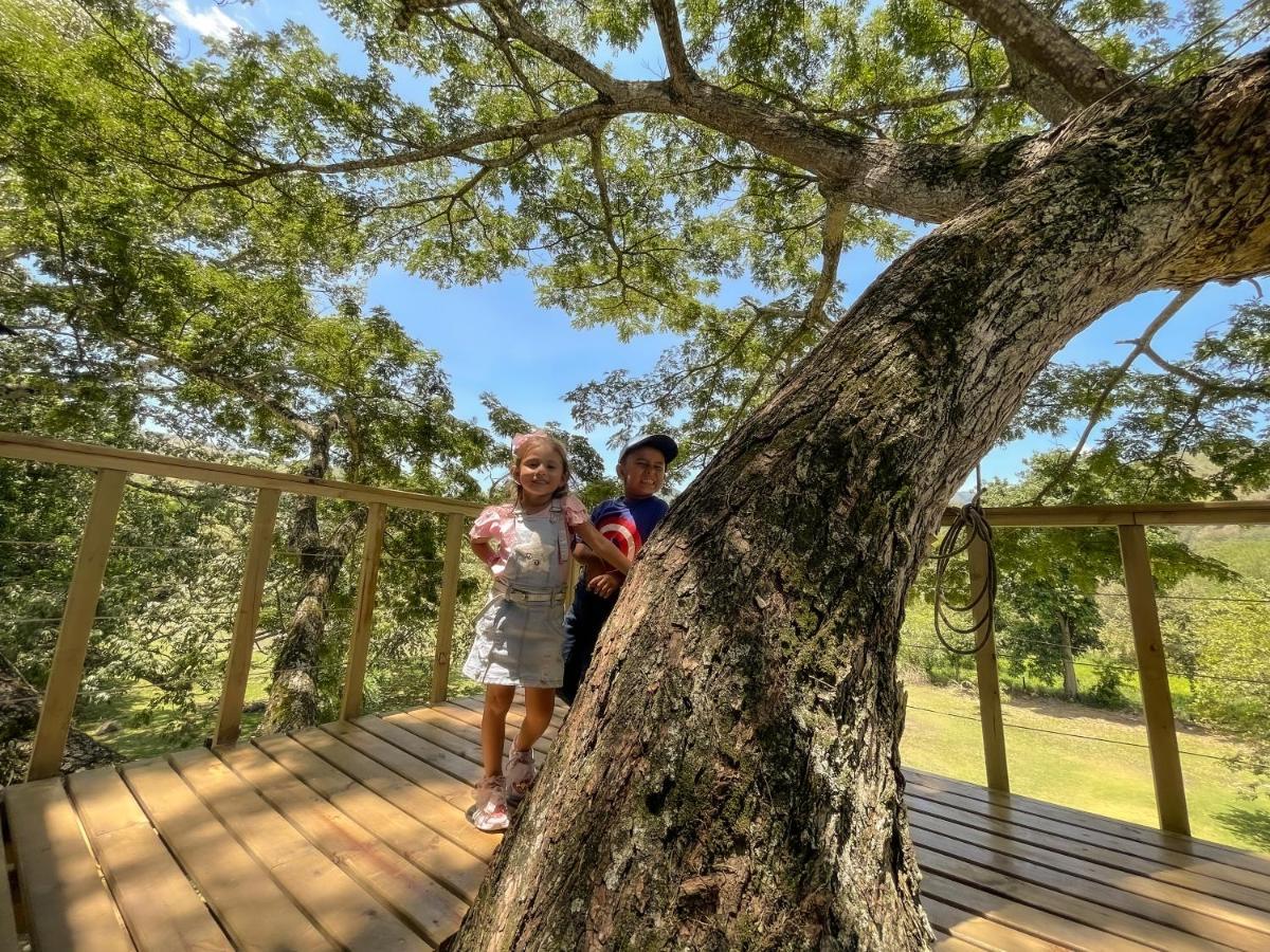 Casa En El Arbol Villa Utica Ngoại thất bức ảnh
