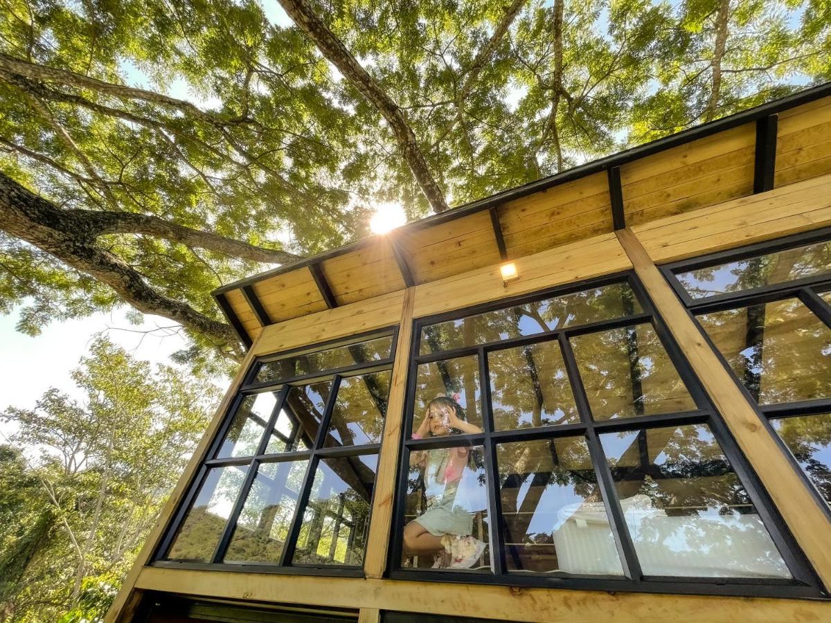 Casa En El Arbol Villa Utica Ngoại thất bức ảnh