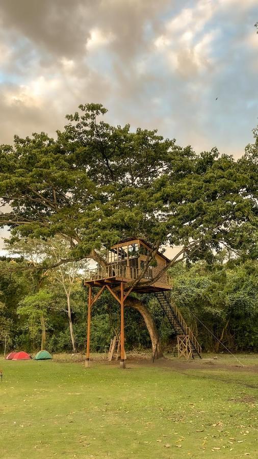 Casa En El Arbol Villa Utica Ngoại thất bức ảnh